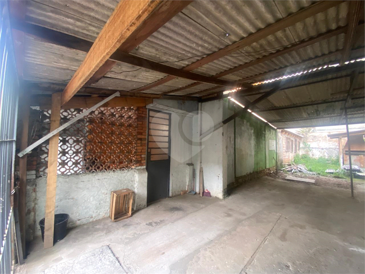 Foto REO1124421