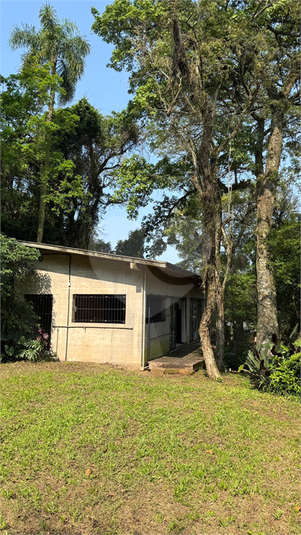 Foto REO1124429
