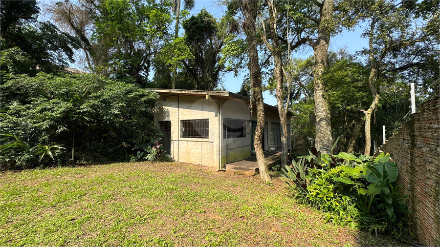 Foto REO1124429