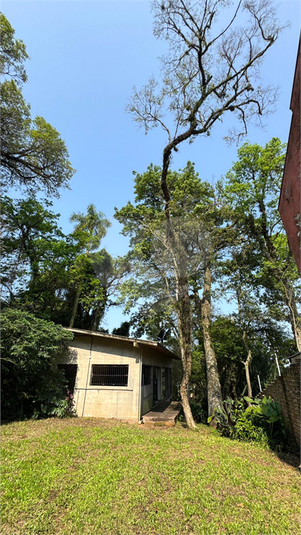 Foto REO1124429