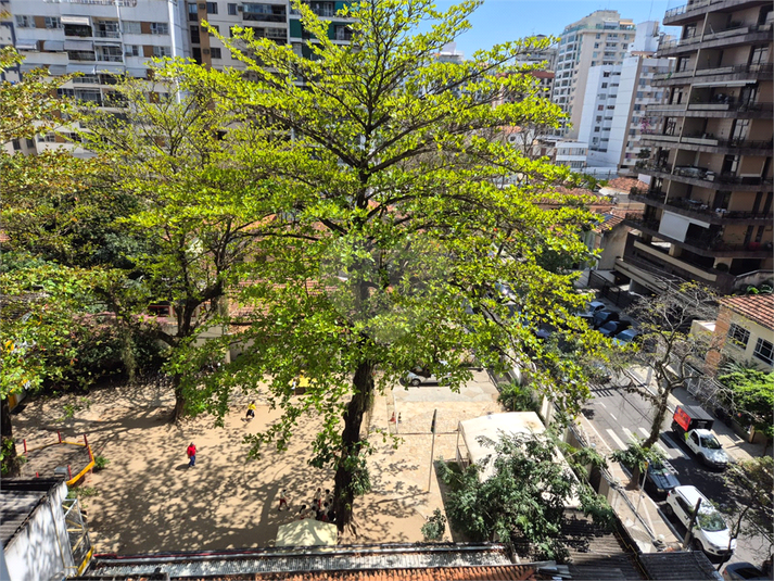 Foto REO1124437