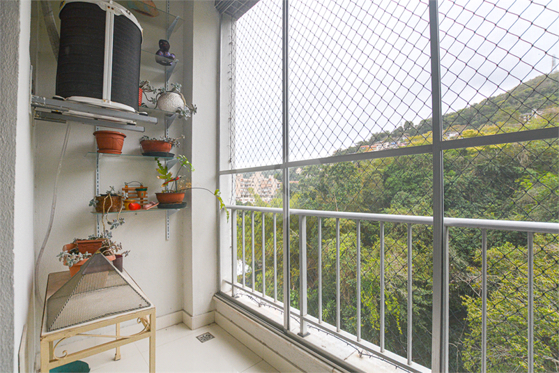 Foto REO1124440