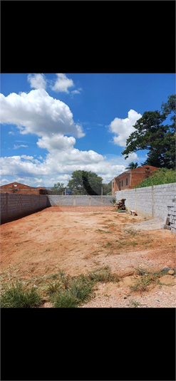 Foto REO1124443