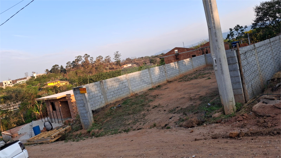 Foto REO1124443