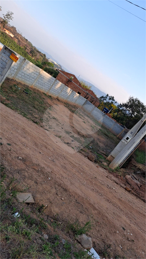 Foto REO1124443