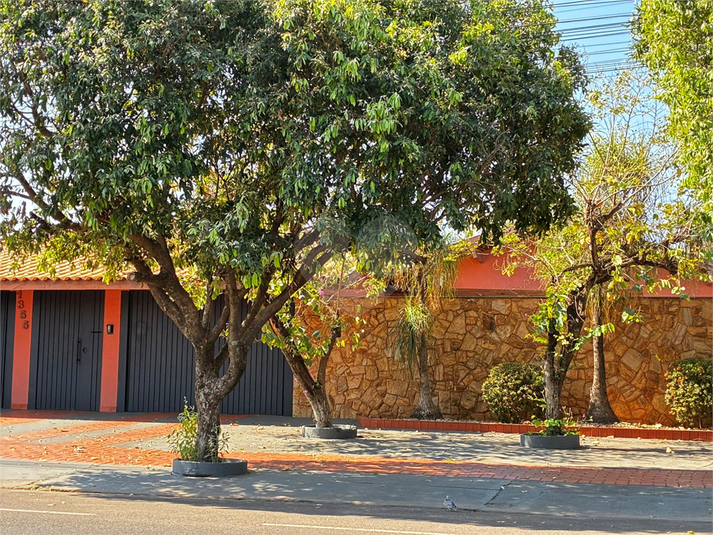Foto REO1124444