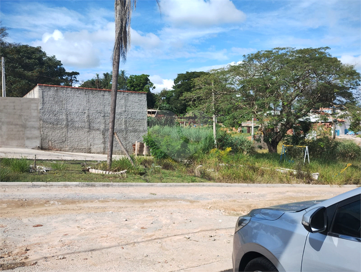 Foto REO1124446