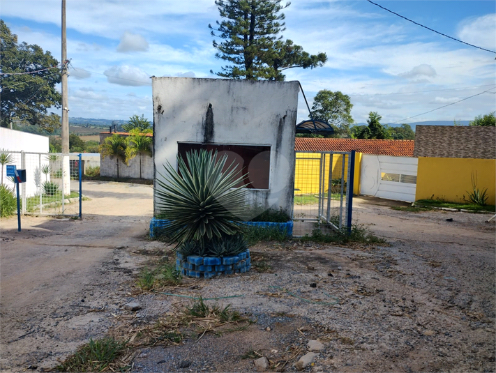Foto REO1124446
