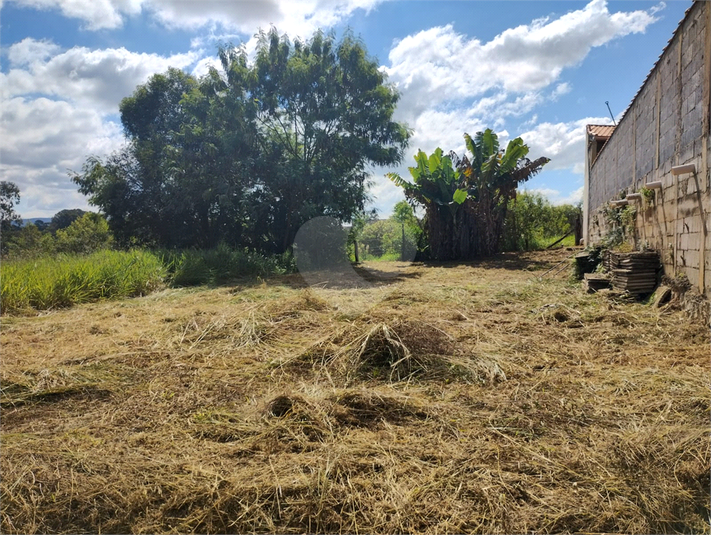 Foto REO1124446