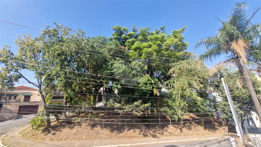 Foto REO1124451
