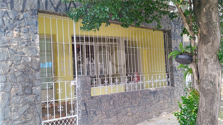 Foto REO1124459