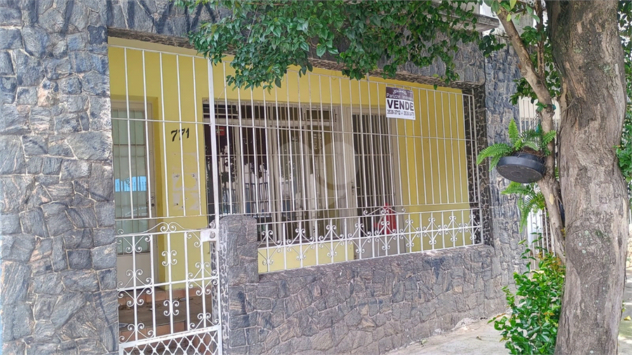 Foto REO1124459