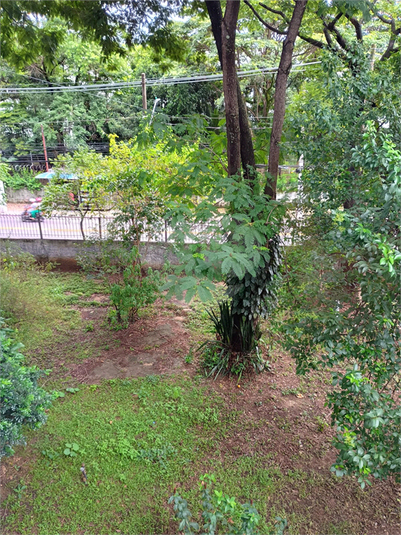 Foto REO1124461