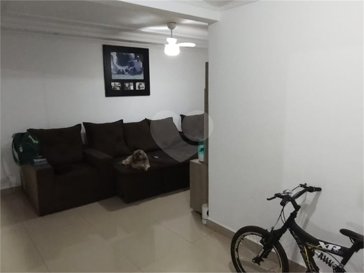 Foto REO1124469