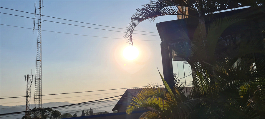 Foto REO1124479