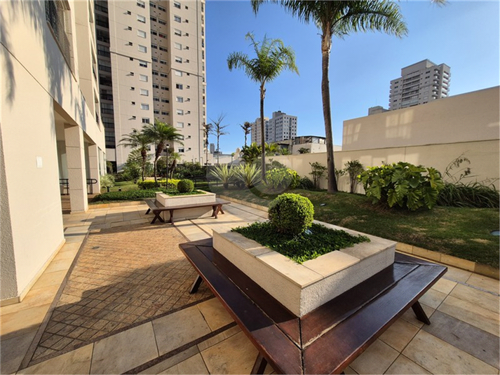 Foto REO1124481
