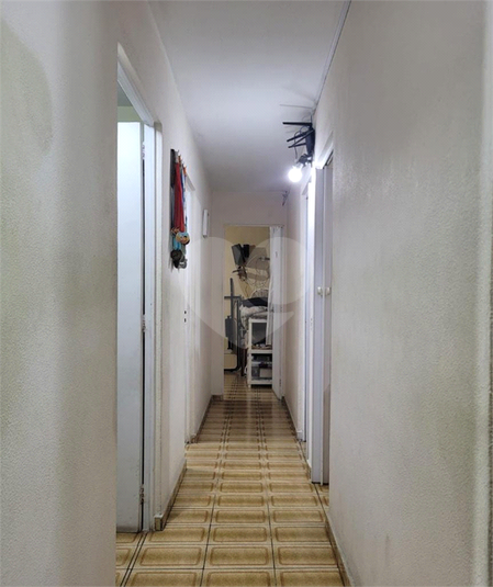 Foto REO1124490