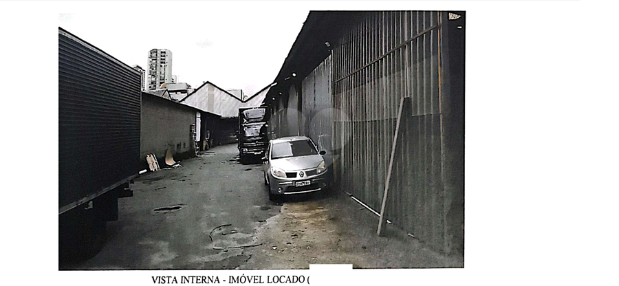 Foto REO1124497