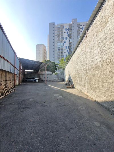 Foto REO1124497