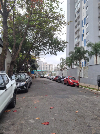 Foto REO1124497