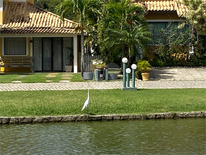 Foto REO1124532