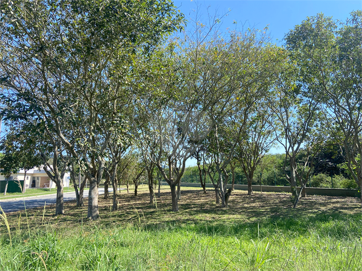 Foto REO1124543
