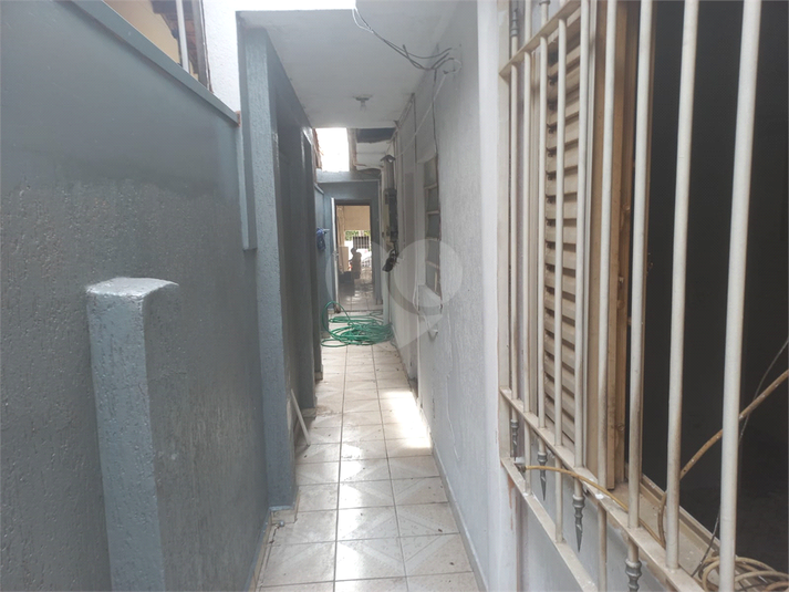 Foto REO1124561