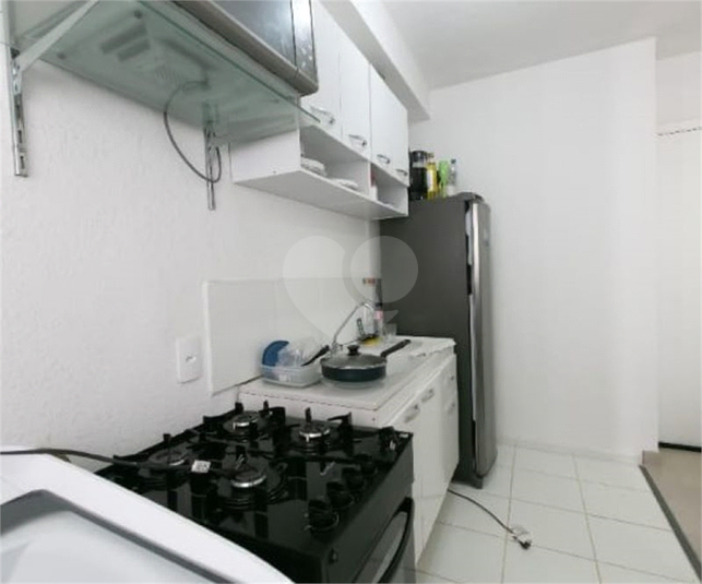 Foto REO1124565