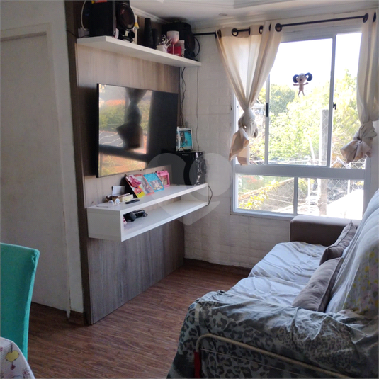 Foto REO1124566