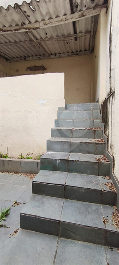 Foto REO1124573