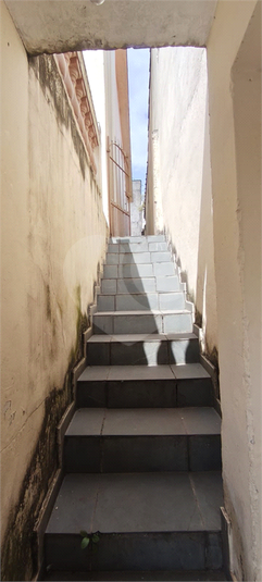 Foto REO1124573