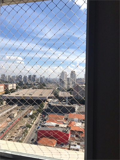 Foto REO1124598