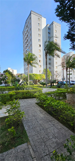Foto REO1124606
