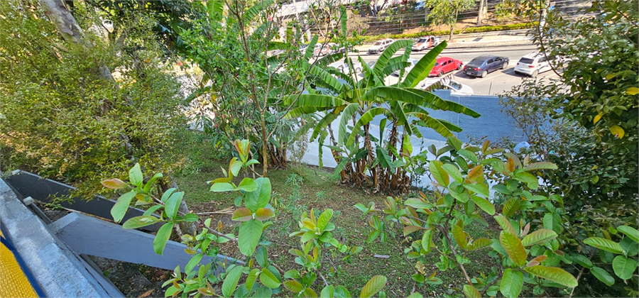 Foto REO1124606