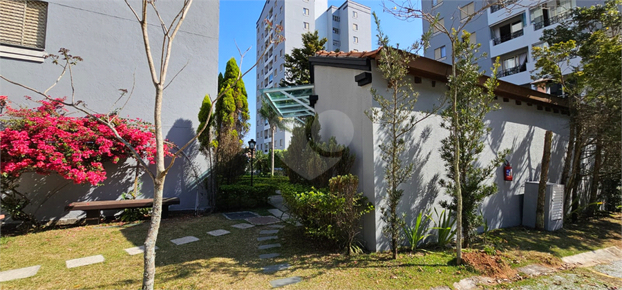 Foto REO1124606