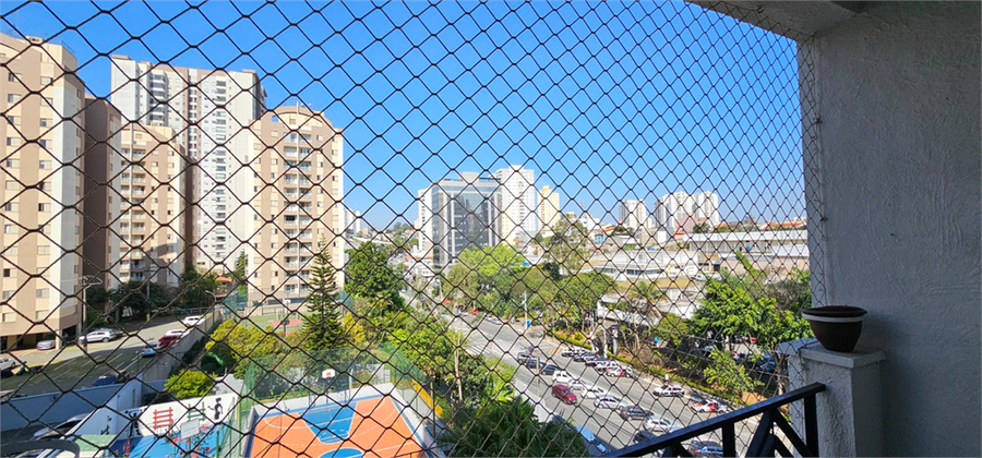 Foto REO1124606