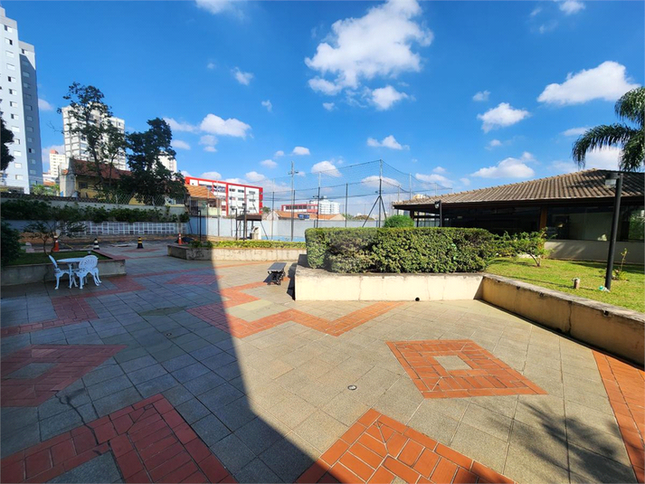 Foto REO1124610