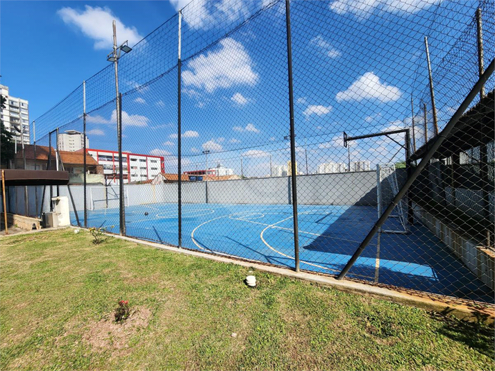 Foto REO1124610