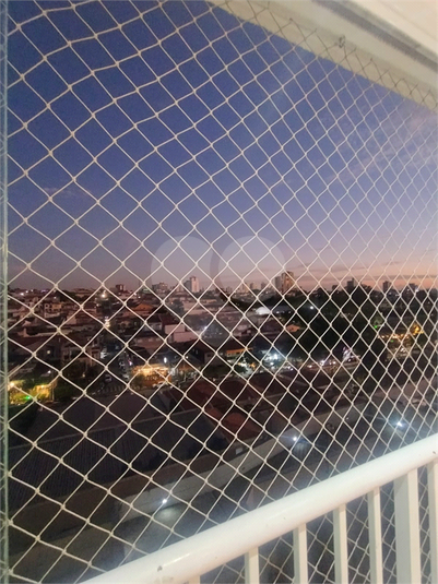 Foto REO1124614