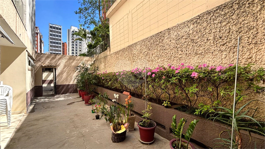 Foto REO1124621