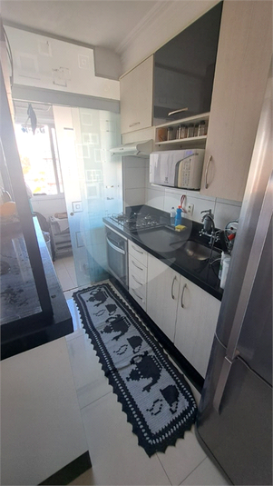 Foto REO1124622