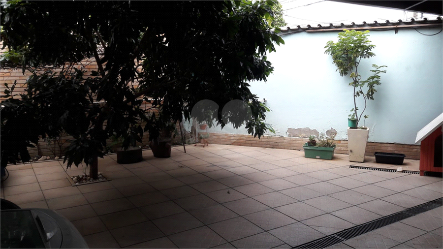 Foto REO1124627