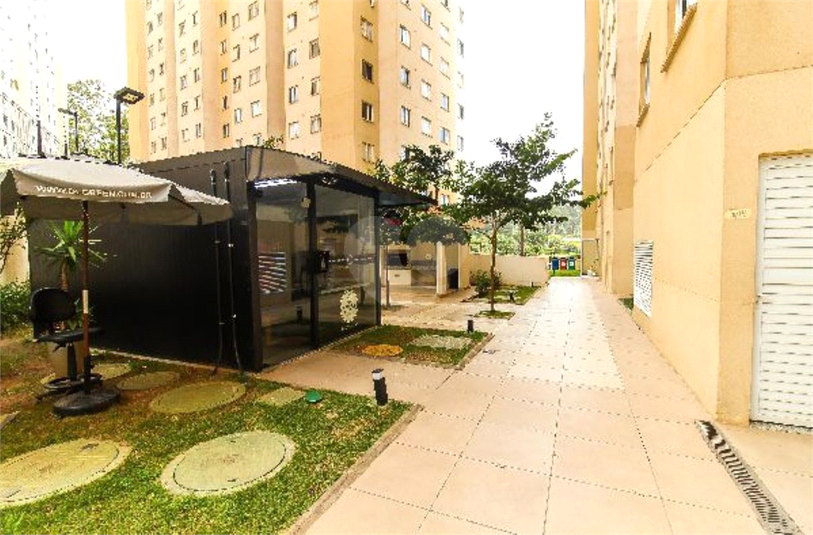 Foto REO1124629