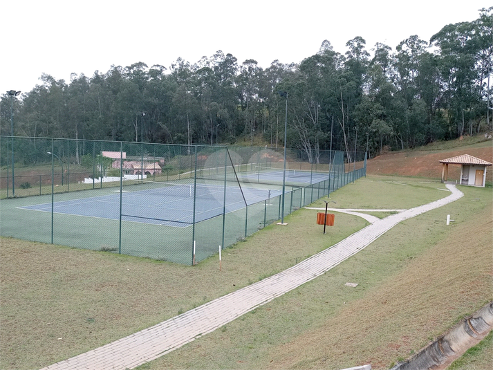 Foto REO1124634