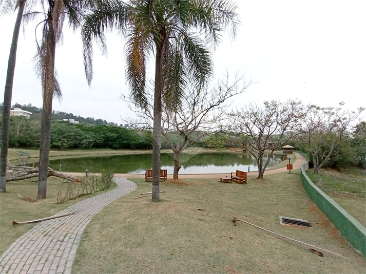 Foto REO1124634