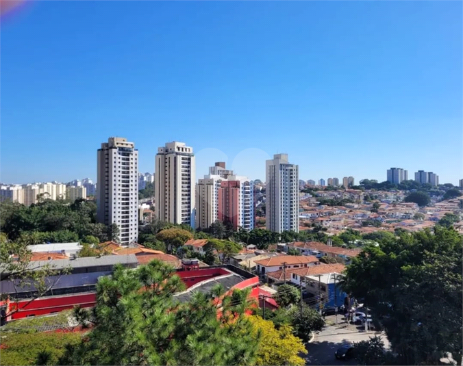 Foto REO1124644