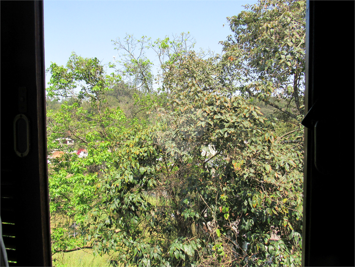 Foto REO1124671