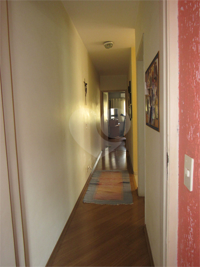 Foto REO1124671