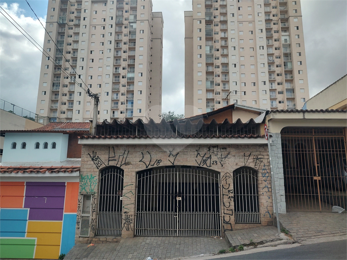 Foto REO1124676