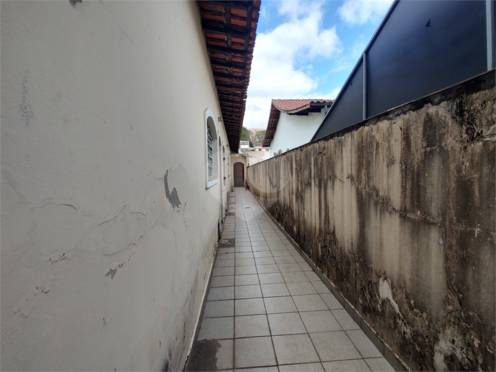 Foto REO1124676